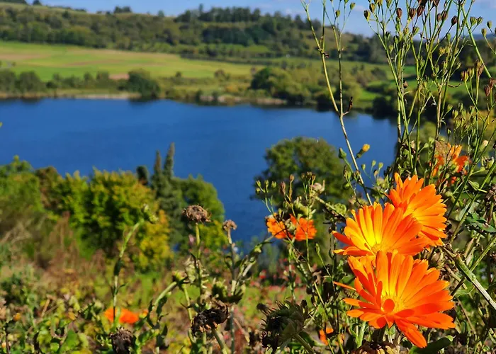 Traumhaus Am Maar 2 *
